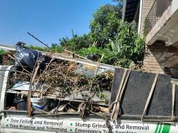 Best Yard Waste Removal  in Kingston, NJ